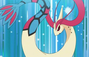 Từ Magikarp đến thần biển Kyogre: Top những Pokémon hệ Nước huyền thoại mà mọi trainer đều khao khát