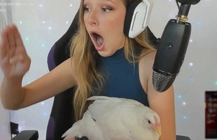 Đang phát sóng, nữ streamer hoảng hốt tắt máy vì sự cố