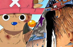 Trái Hito Hito no Mi của Chopper đang nắm giữ chìa khóa quan trọng nhất Final Saga One Piece
