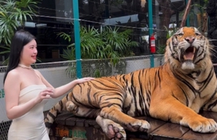 Quay video ngay bên cạnh thú dữ, hot girl khiến người xem "nhăn mặt" vì quá liều lĩnh