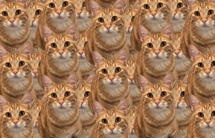 Một tựa game "free 100%" trên Steam nhận điểm số 9/10, người chơi rating "đỉnh của chóp"