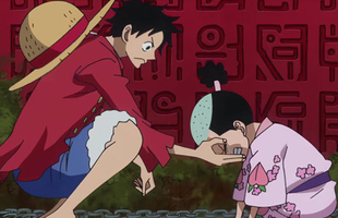 One Piece: Top 8 nhân vật đổi đời và thăng hoa sức mạnh sau khi gặp gỡ Luffy