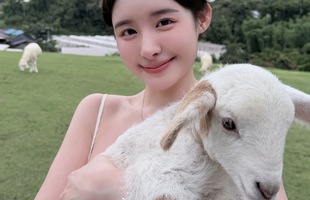 Nữ coser diện váy hở bạo đi nông trại, hớ hênh vùng nhạy cảm tạo làn sóng tranh cãi