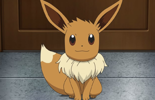 Bí mật hơn 10 năm mới được hé lộ: Vì sao Pokémon Eevee không có thêm dạng tiến hóa mới?