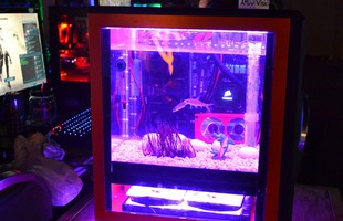 Hoa mắt với những case máy tính độ tại QuakeCon 2014