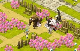 Soi Wakfu phiên bản tiếng Việt sau ngày đầu ra mắt