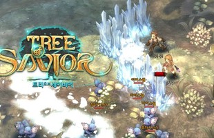 Tree of Savior "trảm" game thủ chỉ vì muốn quảng bá trò chơi