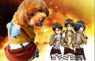Ngộ nghĩnh cosplay Attack on Titan phong cách... cún cưng