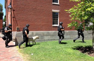 Chơi khăm cảnh sát 6 lần, game thủ chỉ bị ngồi tù 1 năm