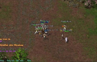 Chán cày kéo, nam game thủ Võ Lâm Truyền Kỳ muốn chỉ đánh heo và trò chuyện