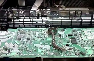 Mở hộp chiếc PS4 bị hỏng, thanh niên tá hỏa khi thấy sinh vật này chết ở trong
