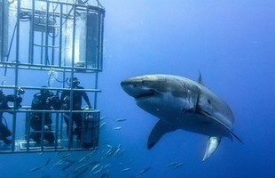 Cáp quang AAG chưa sửa, mạng vẫn nhanh như thường