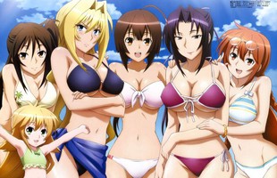 Top 10 anime harem hành động cực kỳ lôi cuốn đáng xem qua (P1)