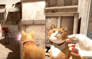 Độc đáo tựa game cầm mèo bắn súng khiến hàng nghìn game thủ say mê