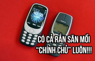 Nokia "cục gạch" 3310 hồi sinh, giá 900 nghìn, vẫn còn đó Rắn săn mồi huyền thoại!