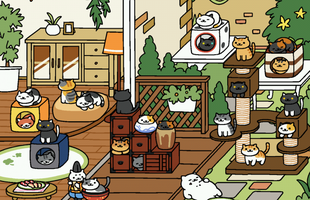 "Nuôi thú ảo" chưa bao giờ thật đến thế với phiên bản VR của game Neko Atsume sắp ra mắt