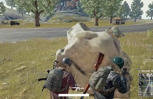 Chuyện thật cứ như đùa: Win 7 "hồi sinh", vượt mặt cả Windows 10 nhờ... PUBG!