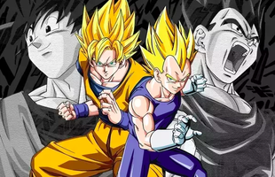 Sự khác nhau trong phong cách chiến đấu của Goku và Vegeta là ở đâu?