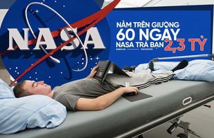 Việc nhẹ lương cao: Chỉ việc nằm trong 60 ngày, NASA trả bạn 2,3 tỷ đồng