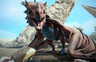 Top 5 loài khủng long có khả năng bay tốt nhất ARK Survival Evolved