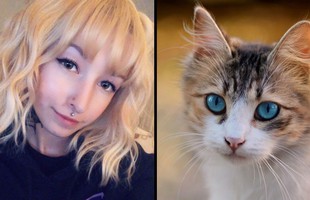 Góc hài hước: Streamer để boss mèo nhai dây điện và cái kết