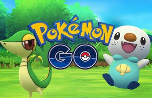 Chơi Pokémon Go và vô tình chứng kiến vụ cướp, cô gái trẻ bị bắn chết