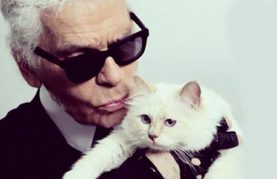 Mèo cưng của Karl Lagerfeld sẽ kế thừa khối tài sản 4.600 tỷ đồng, trở thành "mèo tỷ phú" của thế giới?