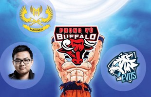 LMHT: Hóa thù thành bạn, fan hâm mộ GAM và EVOS đang tiếp thêm sức mạnh cho Phong Vũ Buffalo tại giải giao hữu MSI 2019