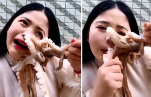 Đòi ăn sống bạch tuộc, nữ vlogger suýt bị "nó" xơi tái lại