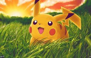 Không phải Chuột như mọi người đồn đại, Pikachu được lấy cảm hứng từ một loài động vật đặc biệt khác