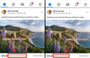 Hình ảnh đầu tiên về Facebook bỏ hiển thị số Like: Không còn khoe mẽ, chỉ hiện vài cái tên trơ trọi