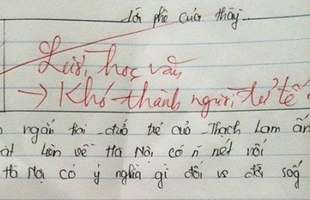 Những lời phê "có một không hai" của giáo viên