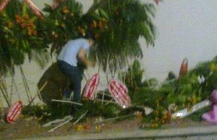 Choáng với hành động "hôi hoa" của người Sài Gòn tối 11/1