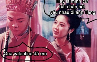 Ảnh chế hài hước "Hay là mình cứ bất chấp hết yêu nhau đi"