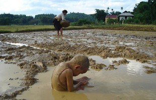 Bức ảnh con chờ mẹ làm đồng lay động cộng đồng mạng