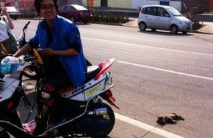 Phẫn nộ với thanh niên hả hê kéo xác chó trên đường phố
