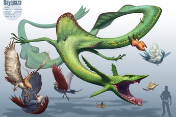 Các Pokemon huyền thoại sẽ trông như thế nào khi được đưa ra ngoài đời thực?