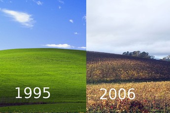 Sự thật bất ngờ phía sau 'ảnh nền huyền thoại của hệ điều hành Windows XP'