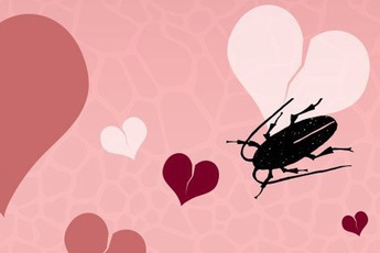 Dịch vụ đặc biệt cho những trái tim tan vỡ vào Valentine: Đặt tên người yêu cũ cho gián rồi để nó làm bữa tối của các con vật khác