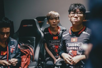 Dashing Buffalo từ những nhà vô địch thành kẻ tìm cách trụ hạng - Vì đâu nên nỗi?