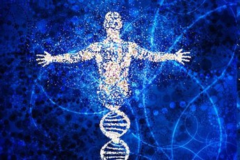 Đâu chỉ gây bệnh, có hàng trăm nghìn tỷ virus đang sống "thiện lành" trong cơ thể chúng ta