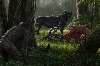 Tổ tiên của loài người đã từng gây ra sự tuyệt chủng của động vật từ 4 triệu năm về trước