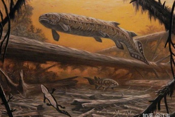 Rhizodus Hibberti: Loài cá quái vật thời tiền sử, sinh vật bá chủ vùng nước ngọt