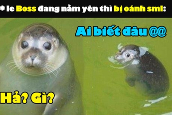 Đại gia gây "sốc": Đang yên đang lành rút chục củ... phát free cho anh em, "trùm Boss" trong game cũng tự nhiên bị "liên lụy"