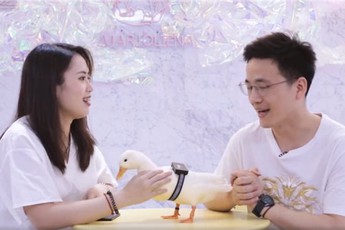 Huawei bất ngờ thông báo đã phát triển thành công “máy dịch ngôn ngữ động vật”