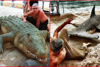 Đưa dàn "thú cưng" ra bãi biển tắm nắng, nghệ sĩ tài hoa khiến dân tình trầm trồ