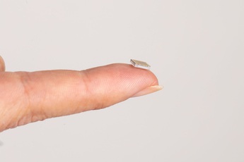 Vào ngày 28/8 tới, con chip máy tính được gắn thẳng vào não bộ do Elon Musk hậu thuẫn sẽ được cập nhật