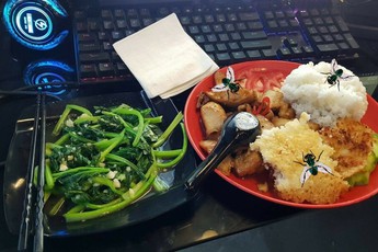 Chuyện gì sẽ xảy ra khi một con ruồi đậu trên thức ăn của bạn?