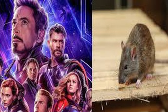 5 "con vật" chiếm hết spotlight của các siêu anh hùng trong phim Marvel, "trùm cuối" được xem là cứu tinh của toàn vũ trụ