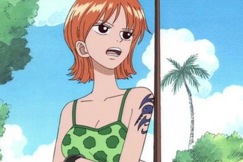 One Piece: 6 thành viên của băng Mũ Rơm đã từng gia nhập băng hải tặc khác